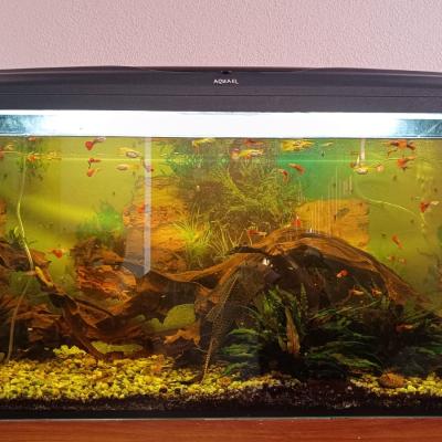 D5a4f67c 14fa 4d5d 83f1 4d68c2291cad