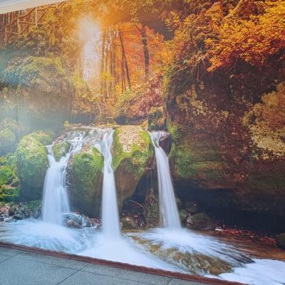 D9b26938 664f 4a65 8889 507f9e91b762